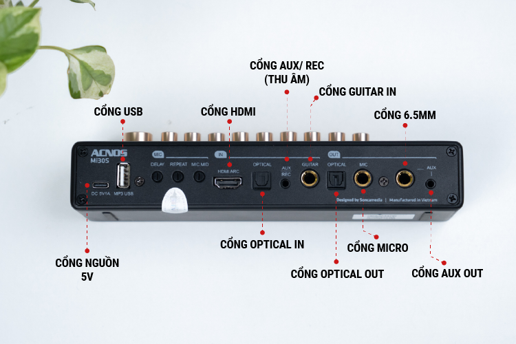 Mi30S tích hợp đa dạng cổng kết nối IN-OUT để có thể kết nối với bất cứ loa nào