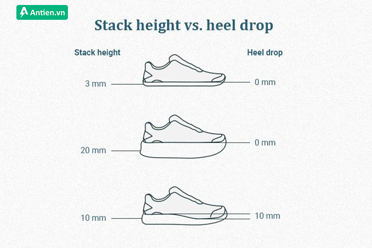 Mức độ chênh lệch giữa mũi giày và gót giày