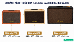 SO SÁNH LOA D'AURIS 200, D'AURIS 300 VÀ D'AURIS  500: NÊN CHỌN PHIÊN BẢN NÀO?
