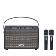 Loa karaoke Acnos S60