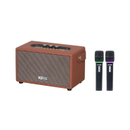 Loa karaoke Acnos S60