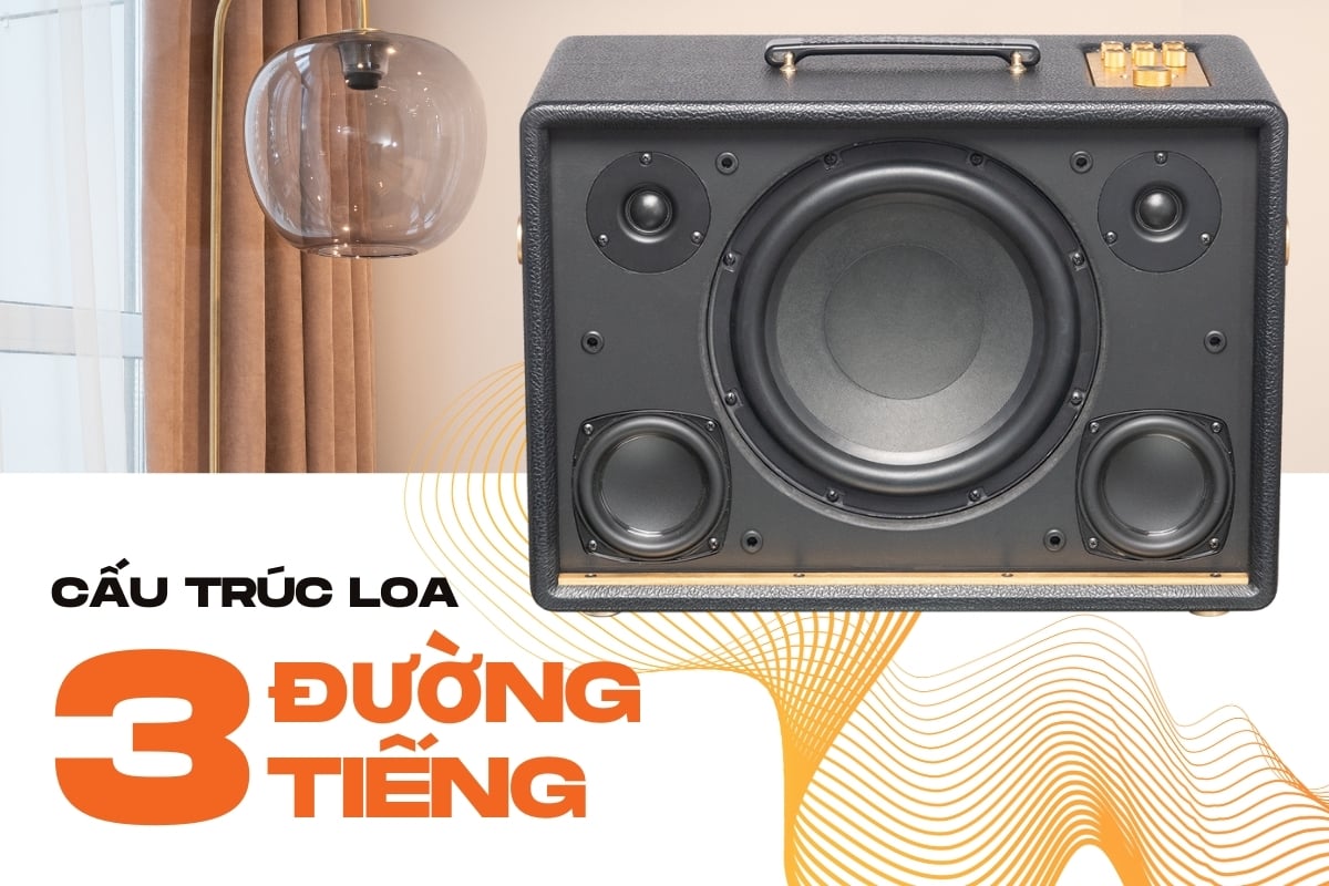 Loa Acnos D'Auris 300 cấu trúc 3 đường tiếng