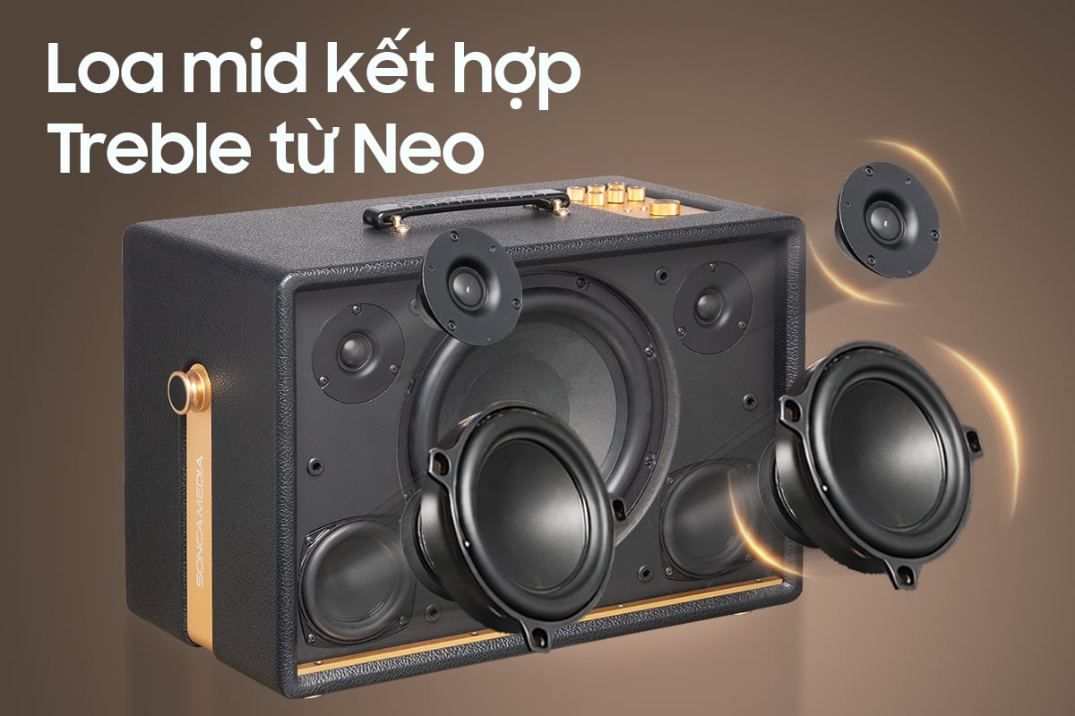 Các driver trên Loa Acnos D'Auris 300