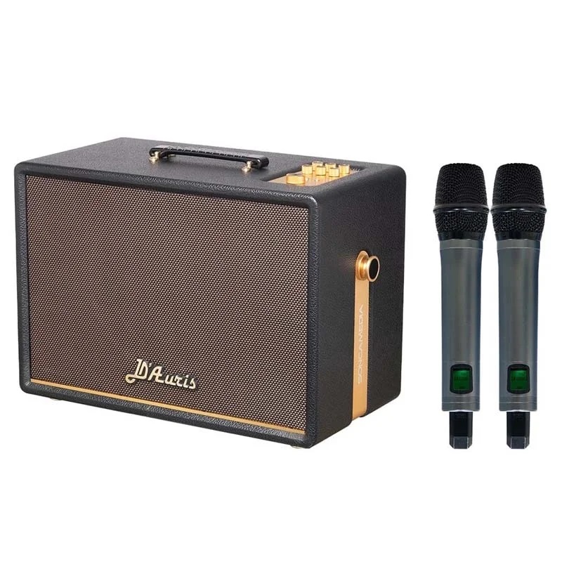 Loa Acnos D'Auris 300 đi kèm micro không dây cao cấp, dễ hát