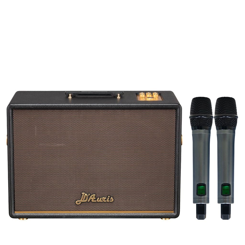 Acnos D'Auris 500 - Lựa chọn hoàn hảo cho nhu cầu karaoke và nghe nhạc