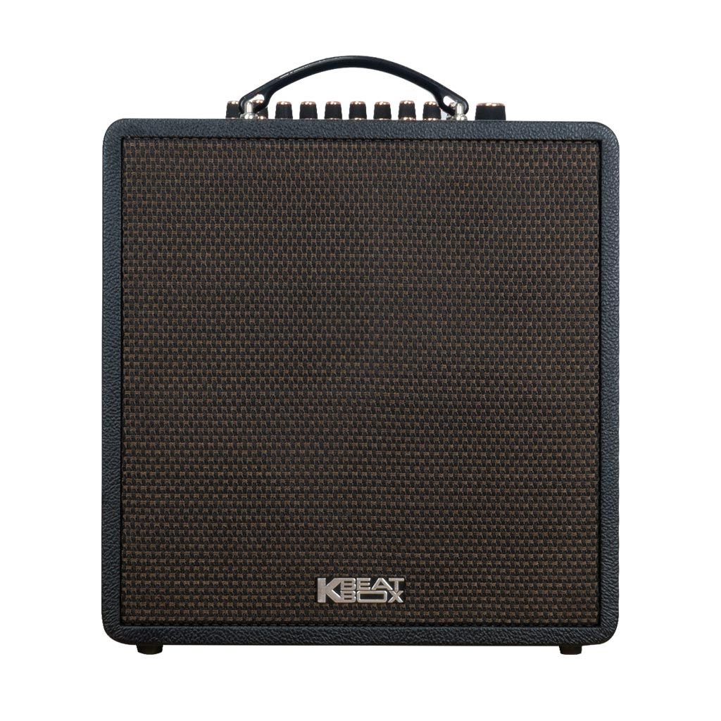 Mua loa Acnos QUAD 64 chính hãng ở đâu