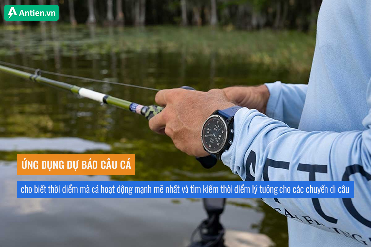 Tìm kiếm thời điểm lý tưởng cho các chuyến đi câu nhờ ứng dụng dự báo câu cá