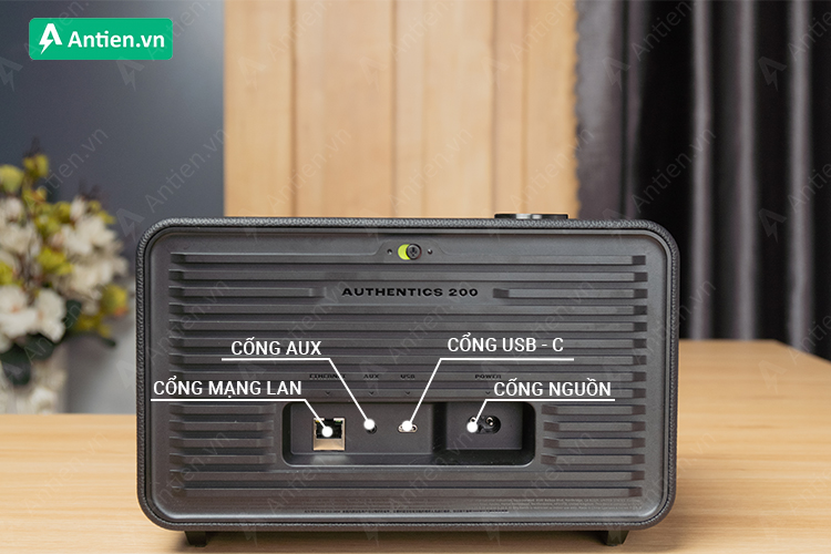 Hệ thống cổng kết nối sau loa cho phép kết nối trực tiếp với nguồn nhạc