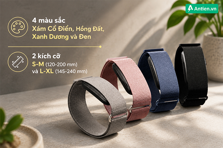 Tuỳ chỉnh cho mọi phong cách với 4 màu dây CIRQA trẻ trung, cá tính