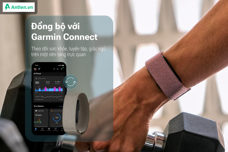 Các dữ liệu về sức khoẻ và thể chất được đồng bộ lên Garmin Conncet