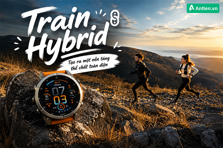 Phương pháp tập Train Hybrid tạo ra một nền tảng thể chất toàn diện