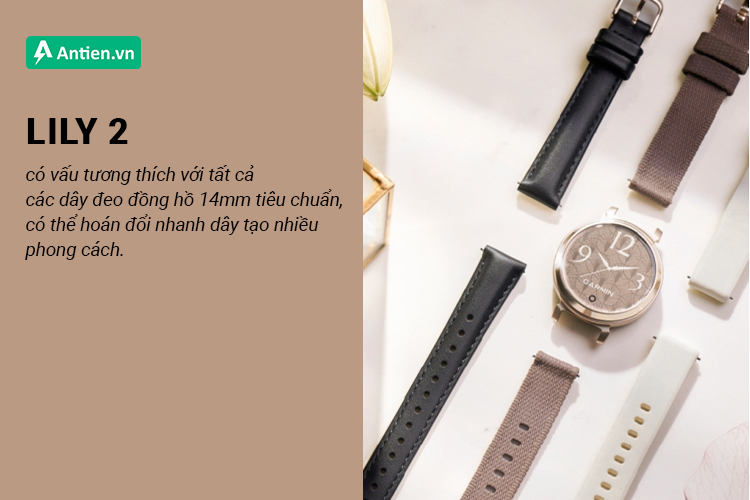 Lily 2 có vấn tương thích với tất cả dây đeo đồng hồ 14mm, 