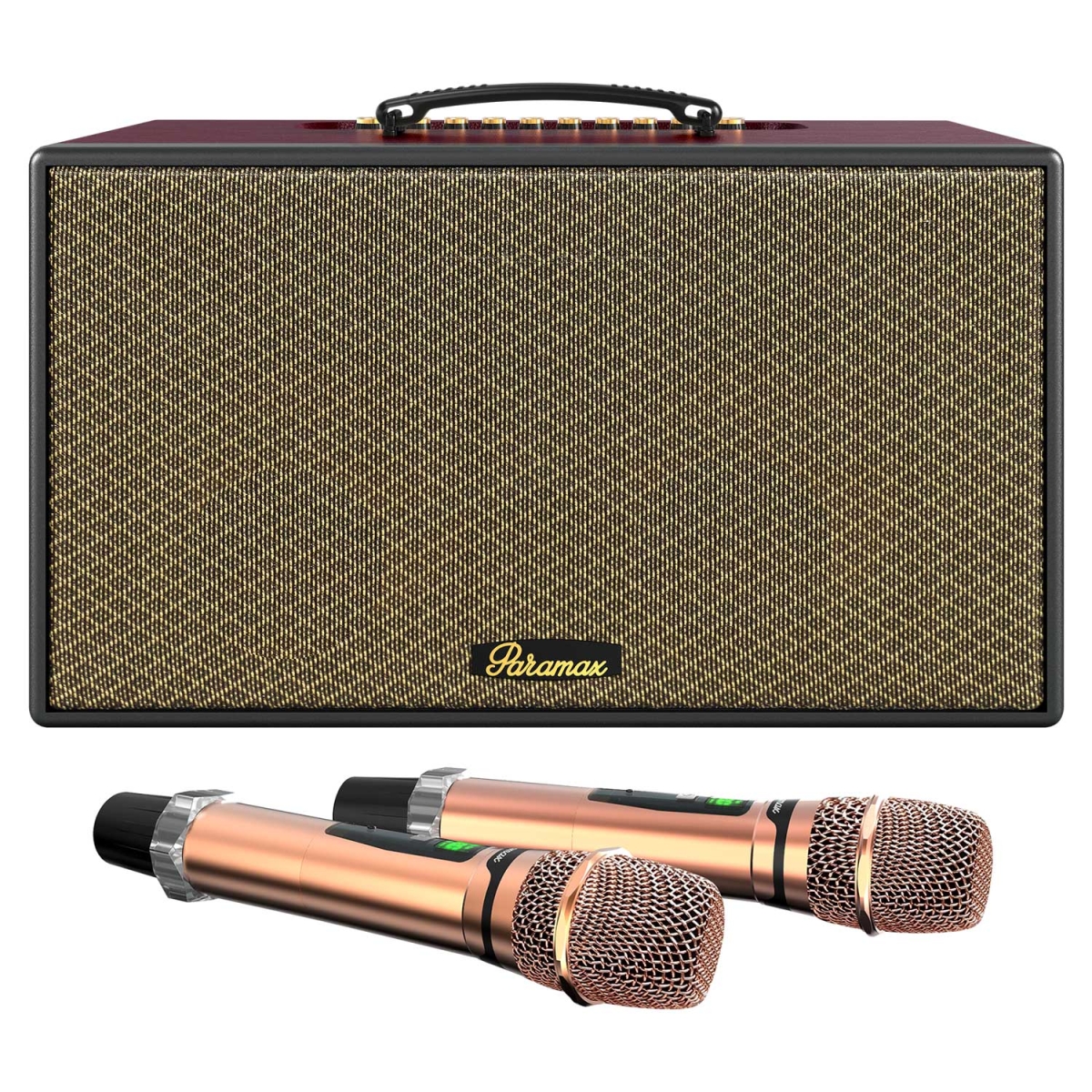 Mua loa Paramax Aura chính hãng tại Antien.vn – Giá tốt, quà tặng hấp dẫn!