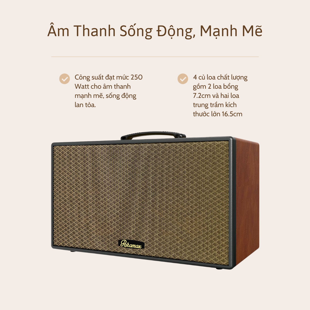 Loa Paramax Aura - Hệ thống âm thanh chi tiết, mạnh mẽ