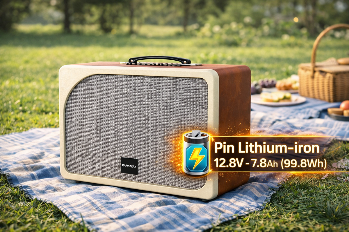 Loa Paramax Evox tích hợp pin