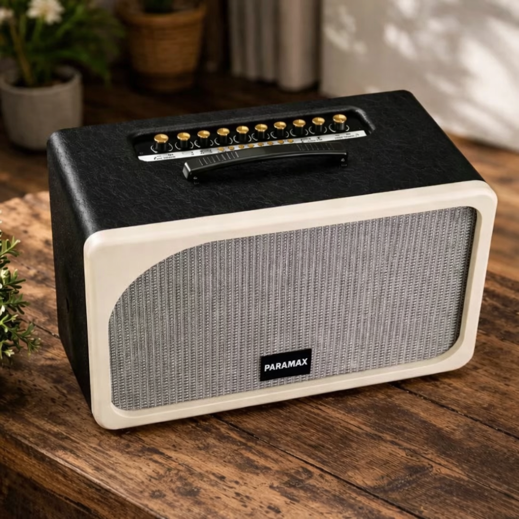 Loa Paramax Evox Max hỗ trợ đa dạng kết nối hiện đại và tiện lợi