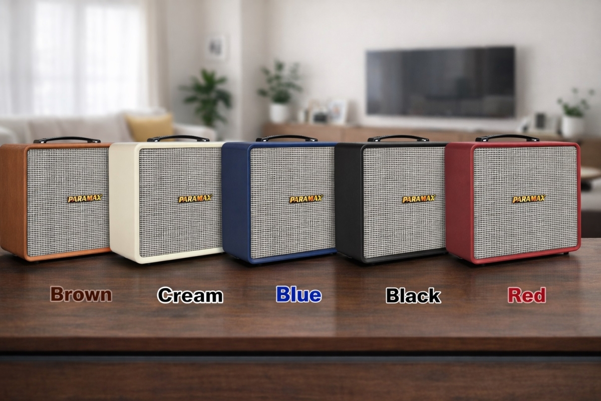 Thiết kế loa PARAMAX Nice sang trọng với nhiều màu sắc thời trang