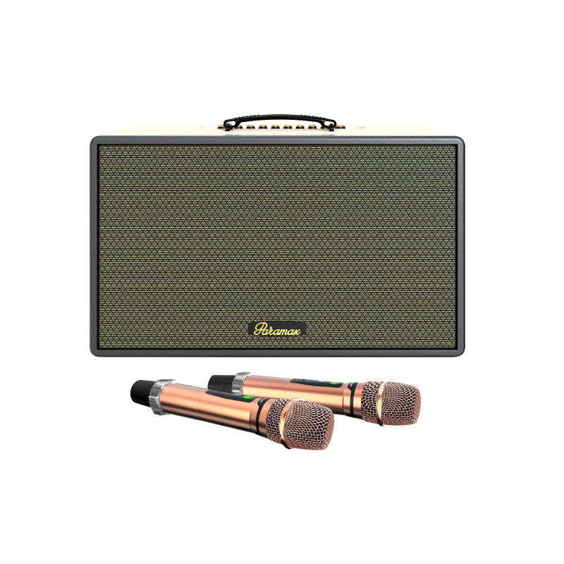 Loa có công nghệ xử lí âm thanh chuyên sâu