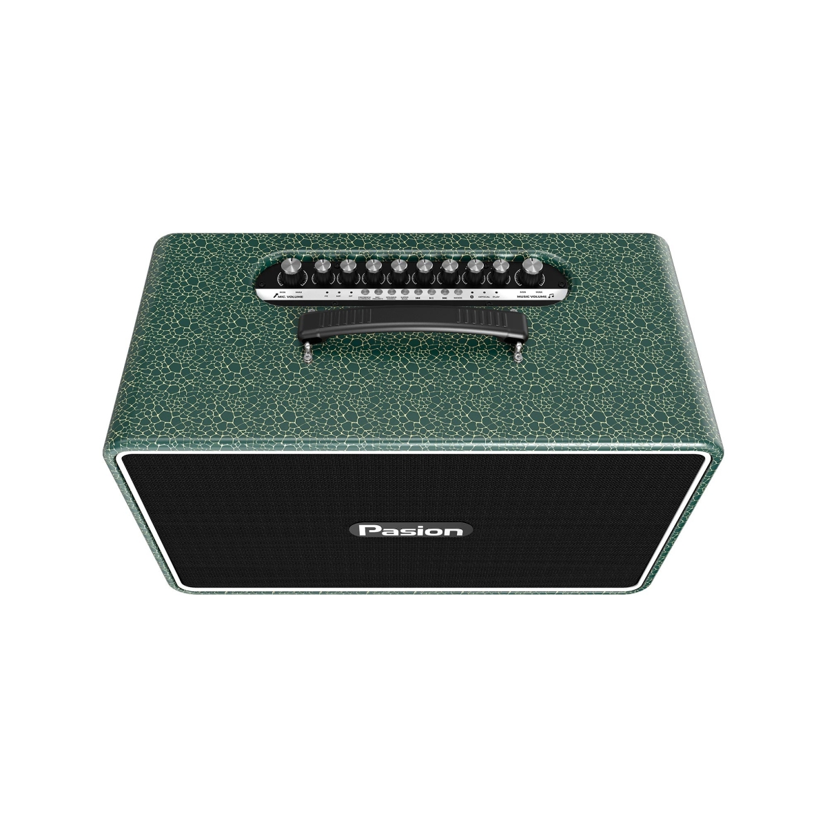 Kết nối đa dạng biến loa bluetooth PASION Arte thành trung tâm giải trí gia đình