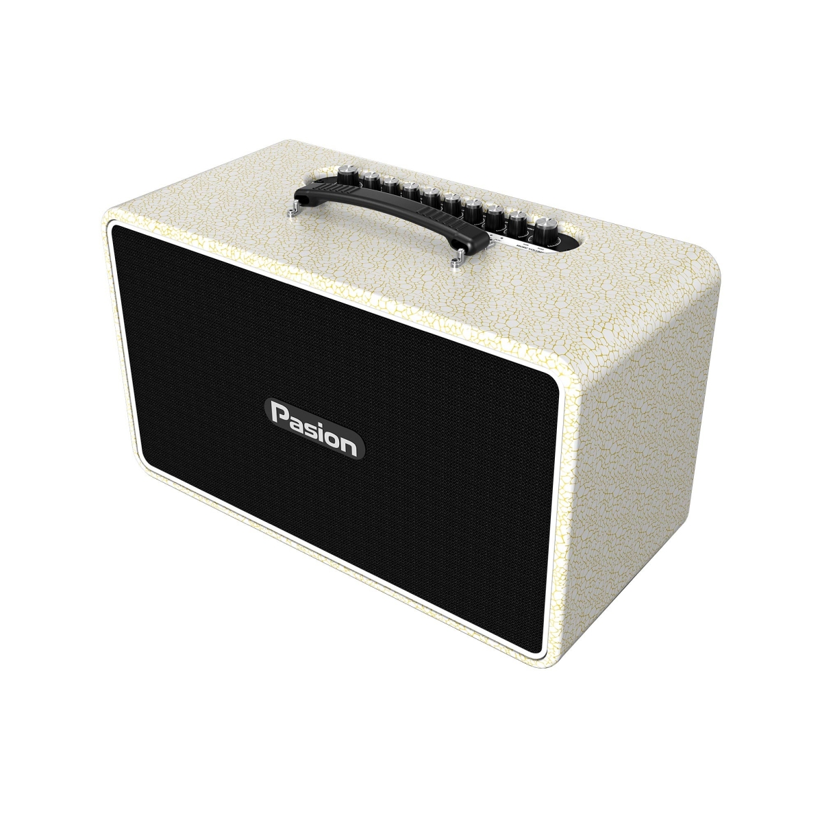 Công nghệ DSP kép 32 bit biến loa di động PASION Arte thành “phòng thu” di động