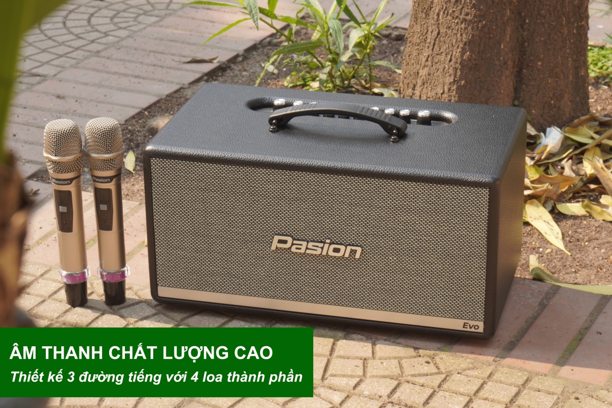 Loa Paramax PASION Evo cho âm thanh chất lượng cao