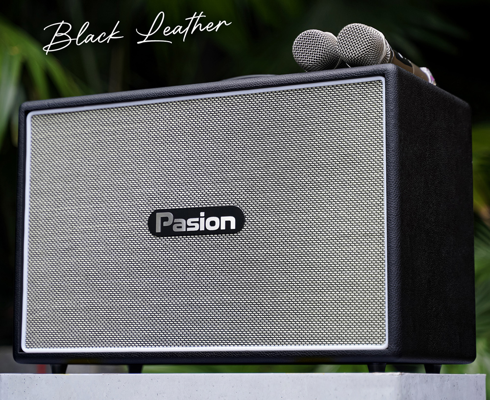Loa karaoke di động PASION Outro