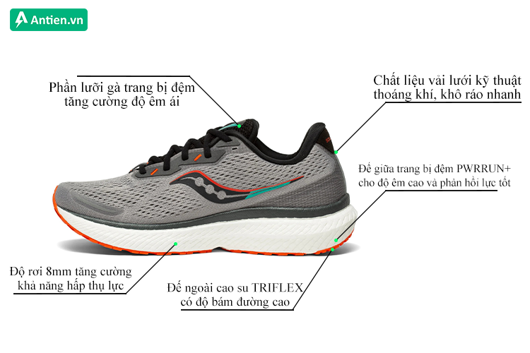 Thông tin sản phẩm Saucony Triumph 19