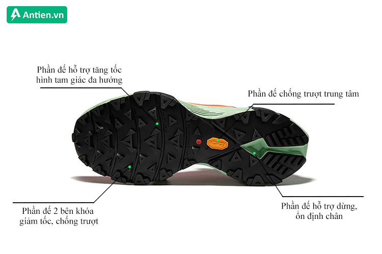 Rãnh đế chia thành 4 phần trợ lực khác nhau