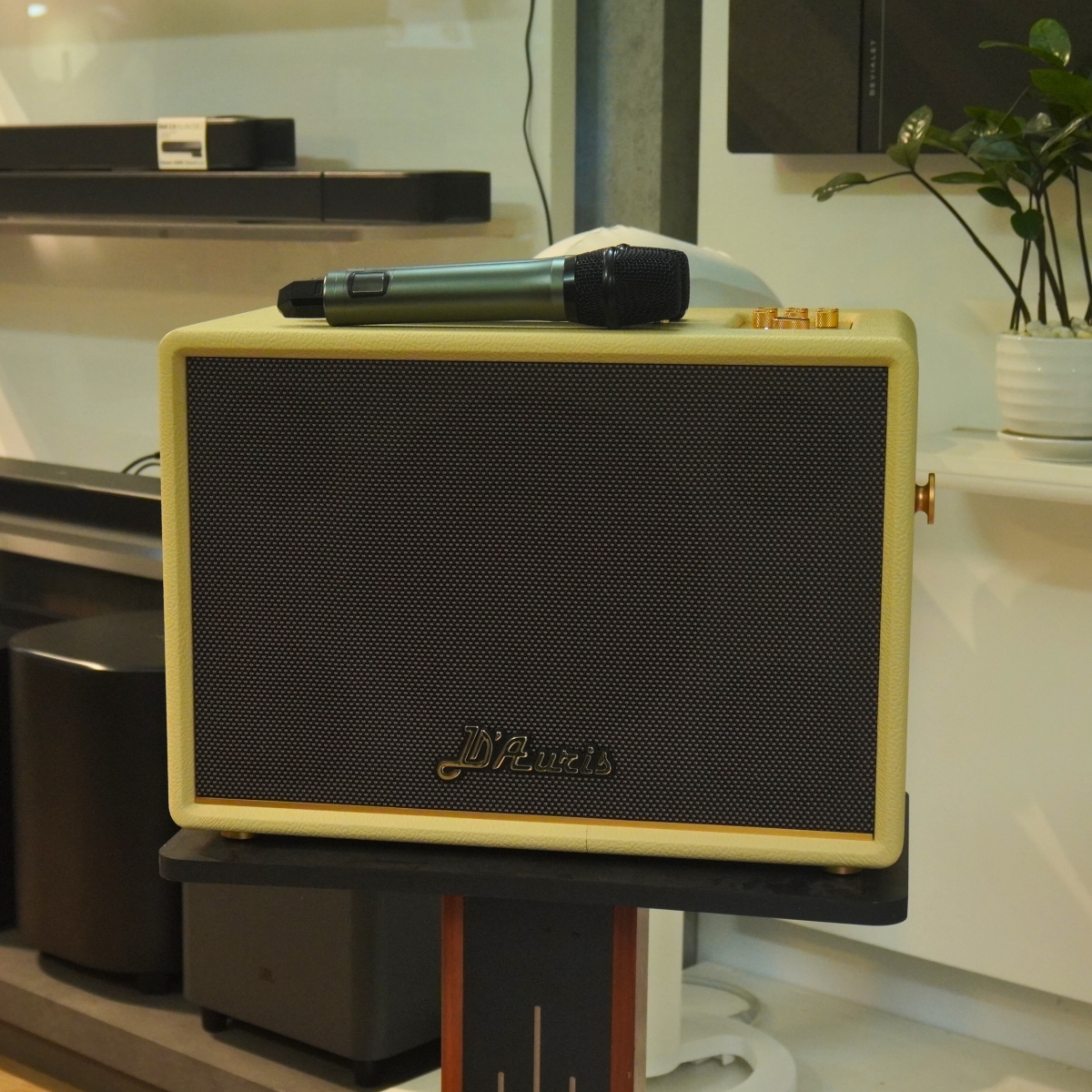 Mua loa karaoke Acnos D’Auris 300 chính hãng ở Antien.vn