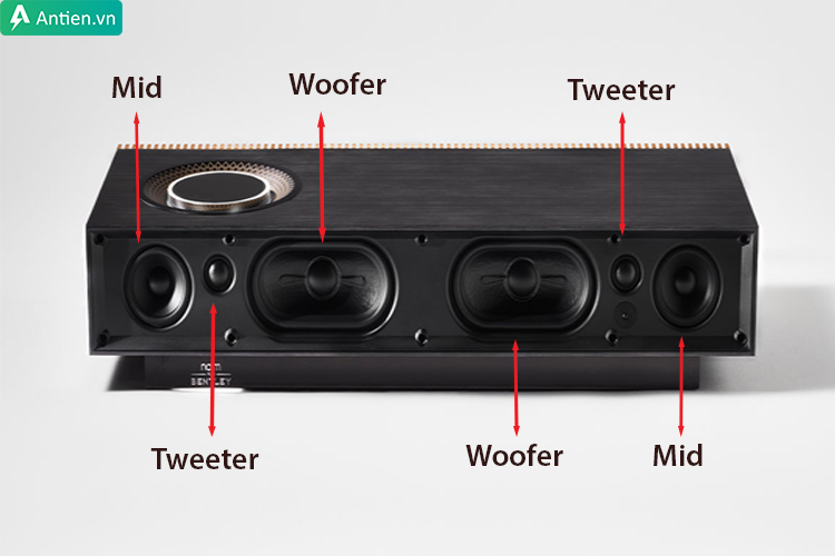 Loa Naim Muso Bentley trang bị củ loa 3 đường tiếng với công suất lớn cho âm thanh bùng nổ