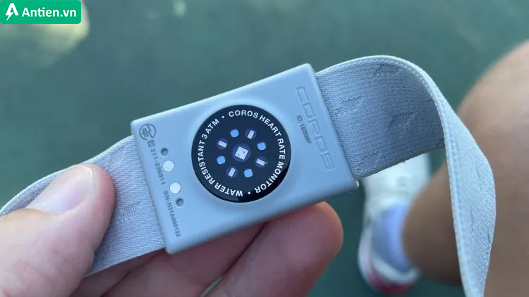 Tìm kiếm đai đo nhịp tim Coros Monitos chính hãng tại Antien.vn
