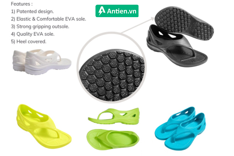 Tổng quan cấu tạo