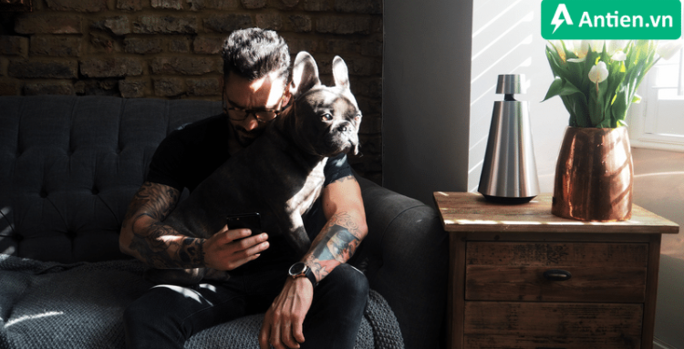 B&O Beosound 1 phù hợp để đặt ở bất kì không gian nào