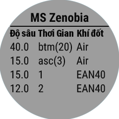 Đông hồ hỗ trợ lặn tốt hơn