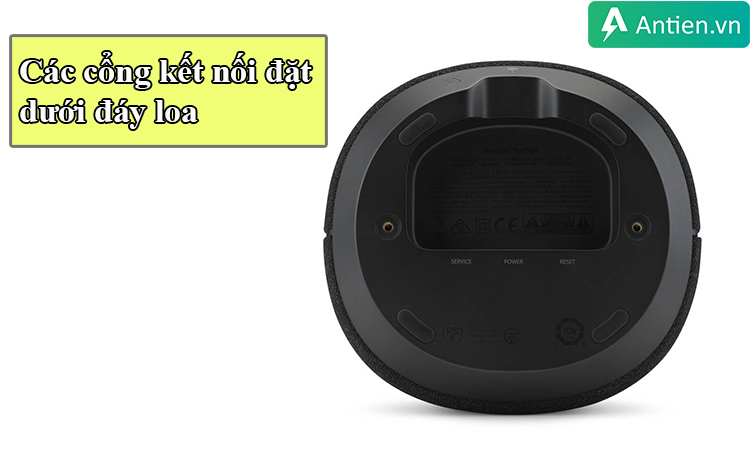 Các cổng kết nối được đặt dưới đáy loa