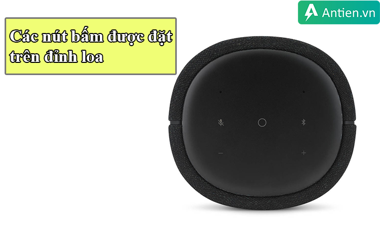 Mặt trên của loa Citation 100