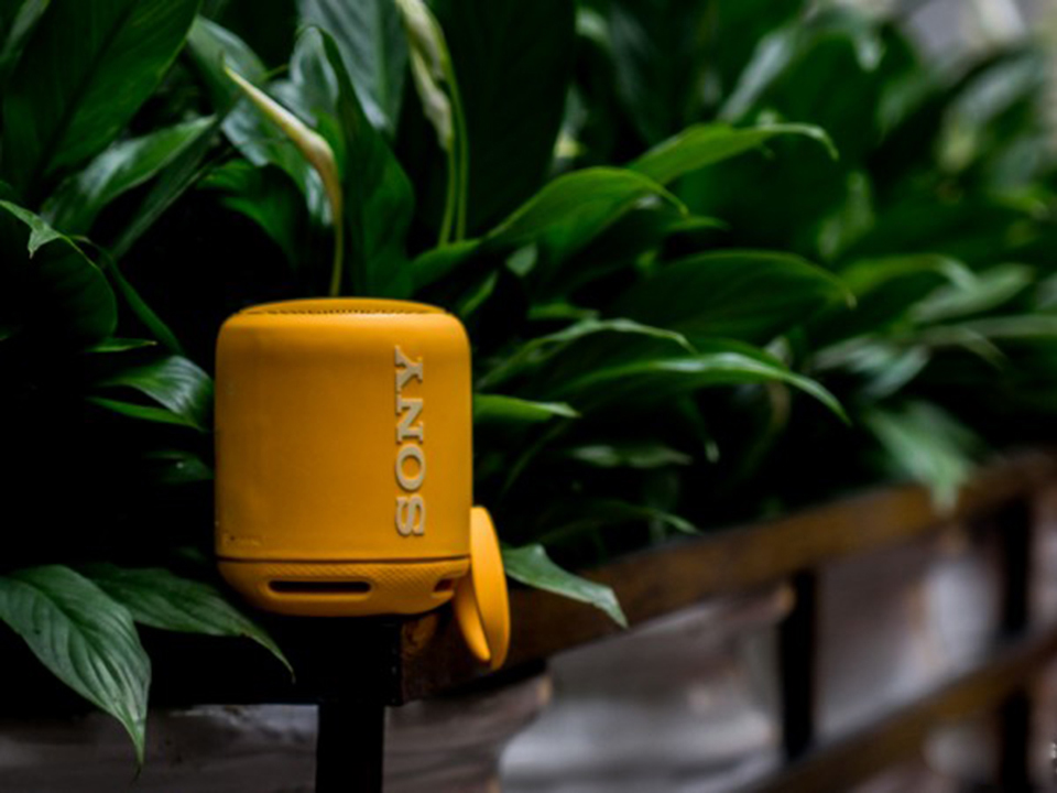 Kết nối đa dạng 