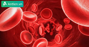 “Tất tần tật” những điều cần biết về cảm ứng Pulse OX trên đồng hồ Gamrin